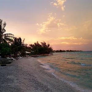 https://pension-rangiroa-plage.frenchpolynesia-hotels.com
